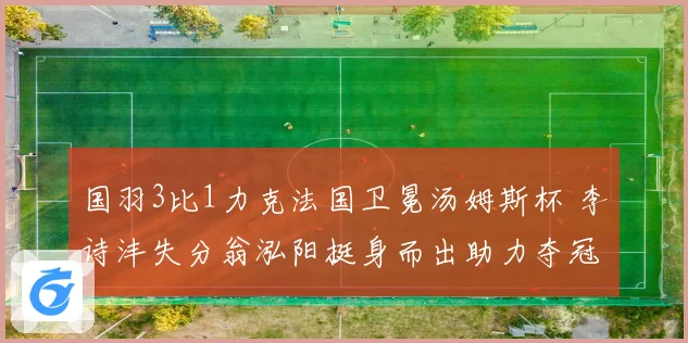 国羽3比1力克法国卫冕汤姆斯杯 李诗沣失分翁泓阳挺身而出助力夺冠