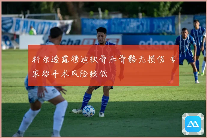科尔透露穆迪软骨和骨骼无损伤 专家称手术风险较低
